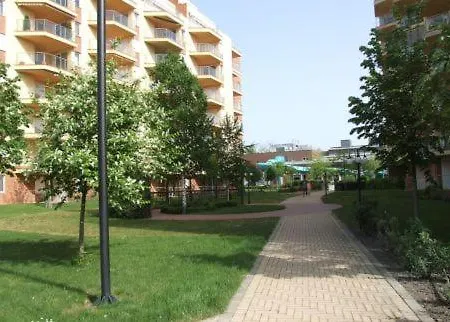 Galérius D * Siófok